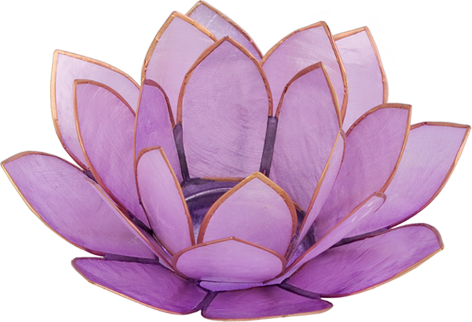 5031PD - Lavender Lotus Capiz Shell Tea Light Holder
