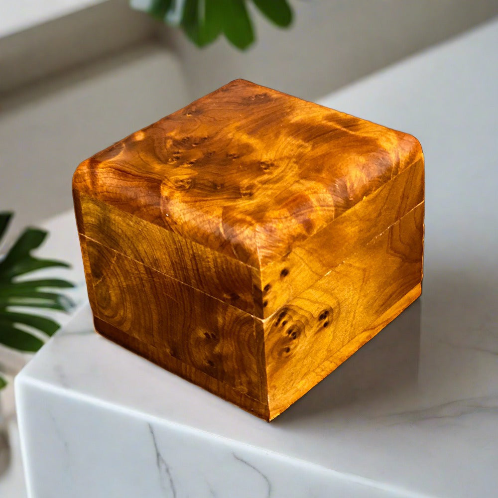 Small Square Box, Thuya Wood