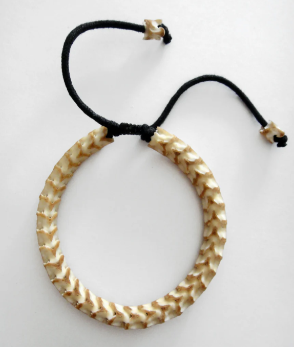 JBR, PYTHON, VERTEBRAE