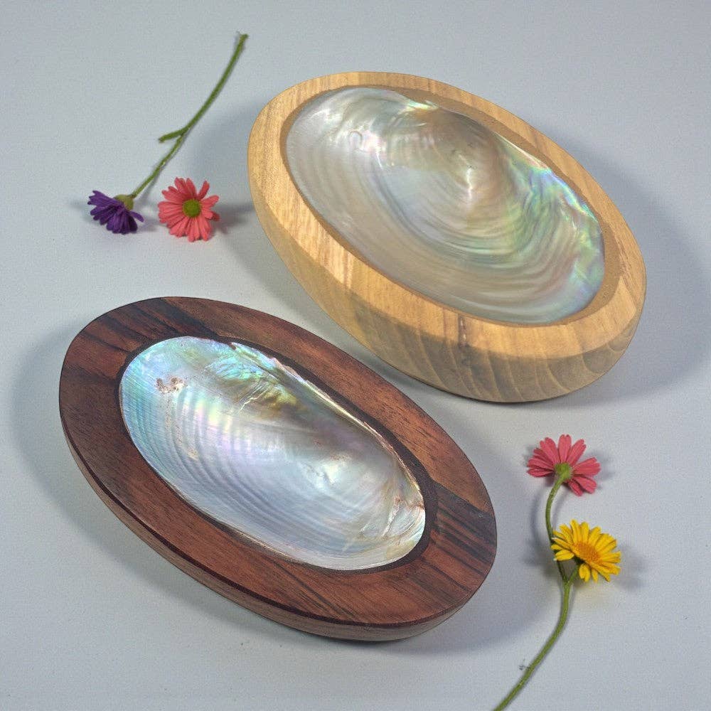 Bowl - Shell Wood