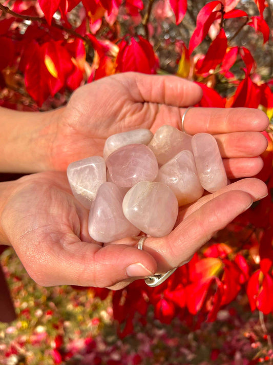 Rose Quartz Tumbled 30-45mm 1KG