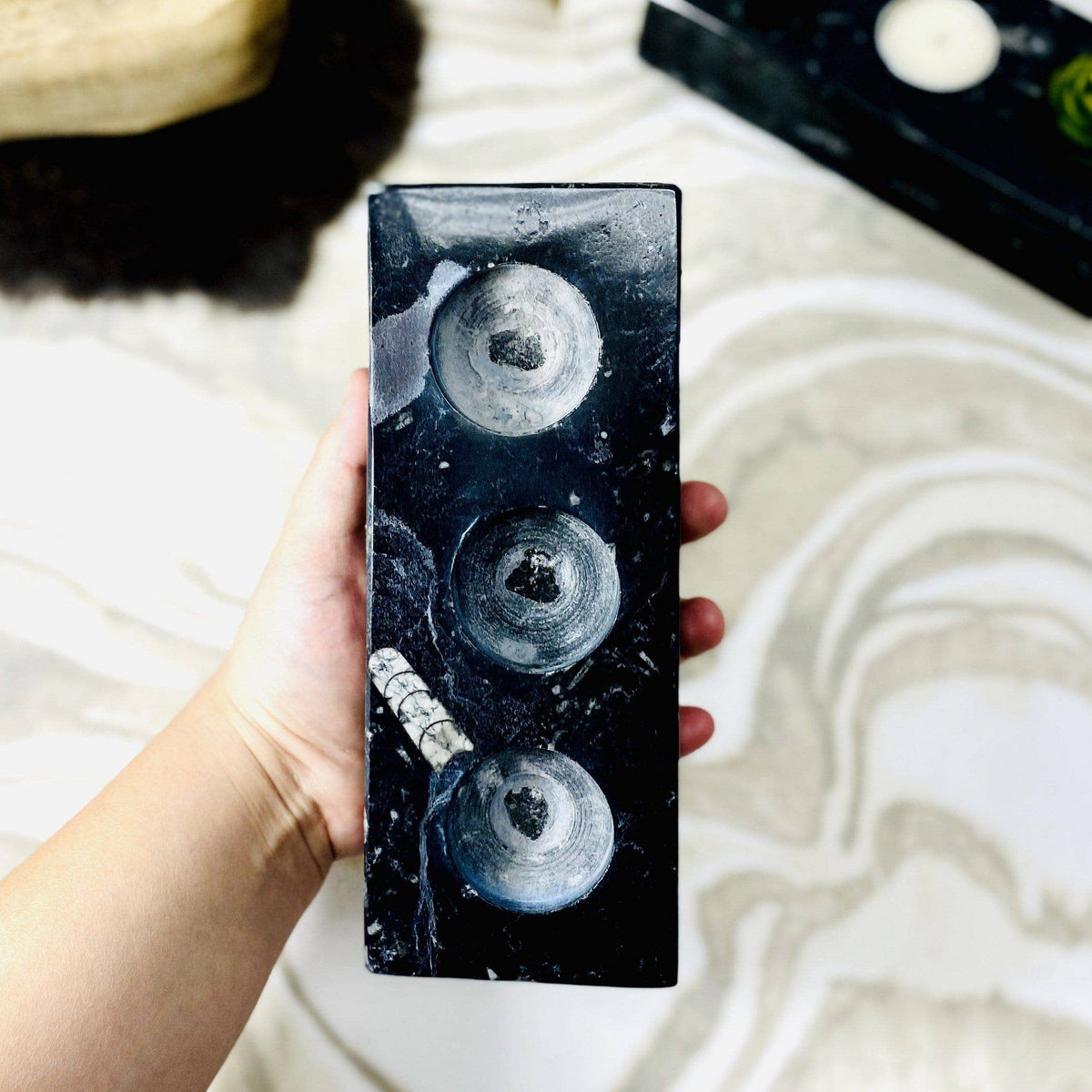 Orthoceras Fossil Polished Candle Holders