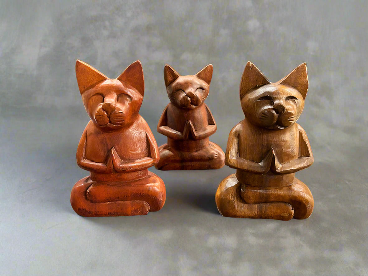 Meditating Cats