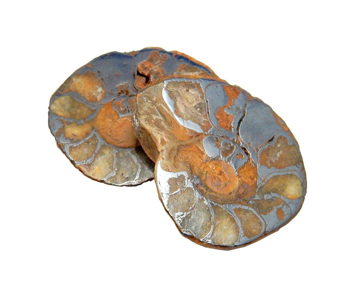 Hematite Ammonite Fossil Pair Spiritual Stone