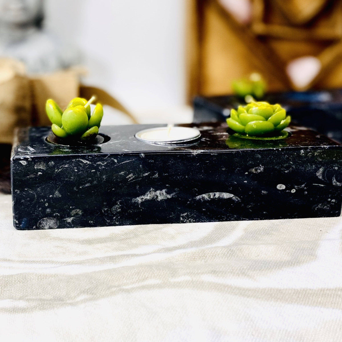 Orthoceras Fossil Polished Candle Holders