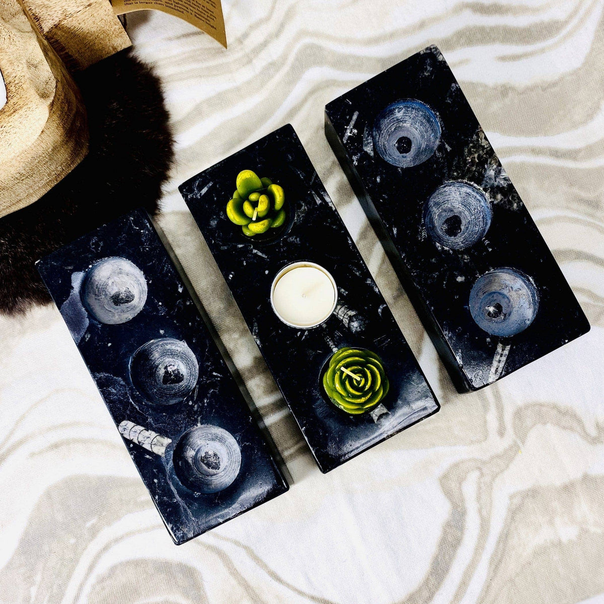 Orthoceras Fossil Polished Candle Holders