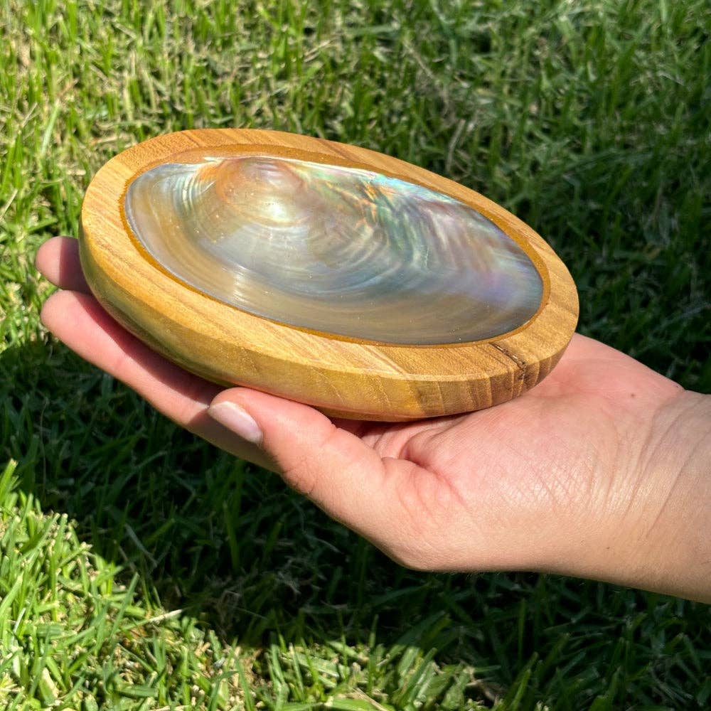 Bowl - Shell Wood