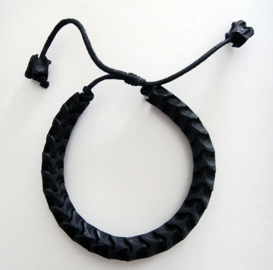 JBR, PYTHON, VERTEBRAE