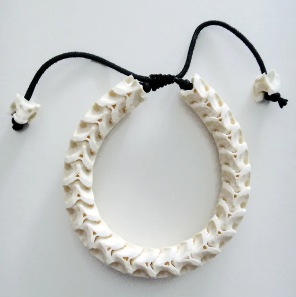 JBR, PYTHON, VERTEBRAE